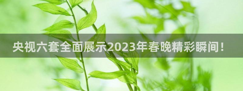 柠檬篮球比赛直播：央视六套全面展示2023年春晚精彩瞬间！