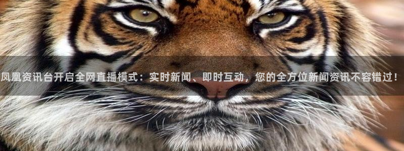 柠檬体育直播篮球：凤凰资讯台开启全网直播模式：实时新闻、即时互动，您的全方位新闻资讯不容错过！