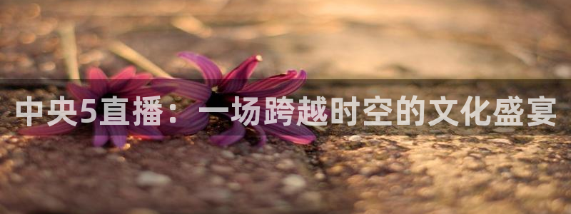 柠檬直播在线直播nba：中央5直播：一场跨越时空的文化盛宴