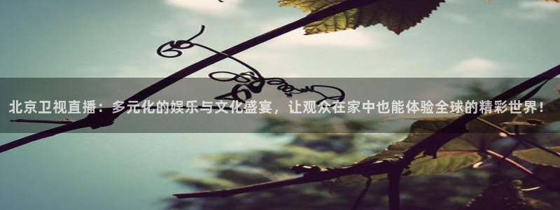 柠檬足球直播体育：北京卫视直播：多元化的娱乐与文化盛宴，让观众在家中也能体验全球的精彩世界！