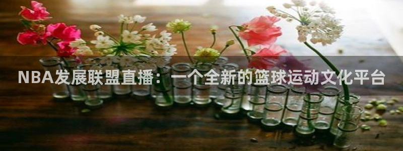 柠檬体育：NBA发展联盟直播：一个全新的篮球运动文化平台