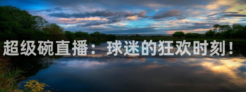 足球直播柠檬：超级碗直播：球迷的狂欢时刻！