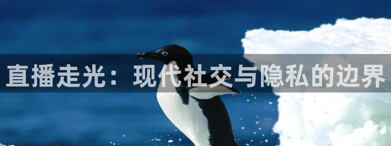 柠檬直播nba在线观看：直播走光：现代社交与隐私的边界