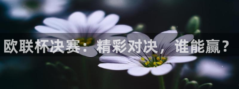柠檬直播 篮球：欧联杯决赛：精彩对决，谁能赢？