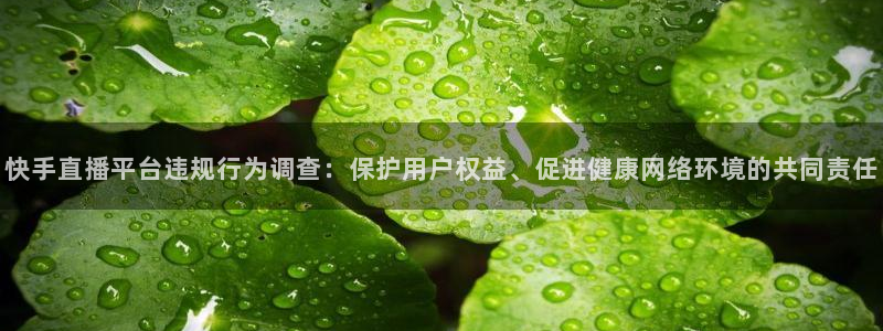 柠檬体育平台：快手直播平台违规行为调查：保护用户权益、促进健康网络环境的共同责任